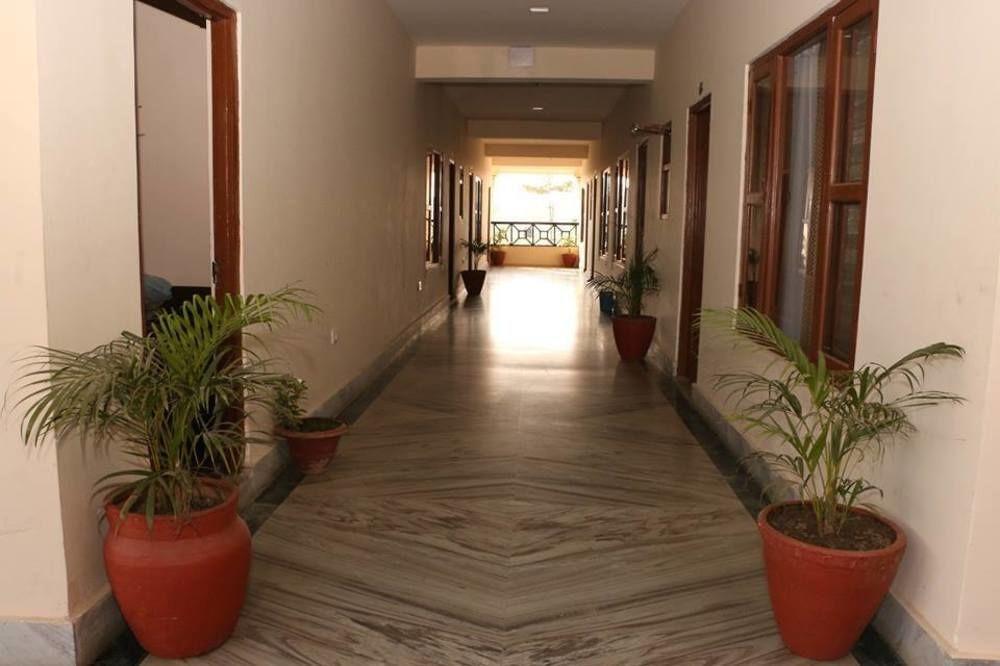 Hotel Royal Safari Sauraha Extérieur photo